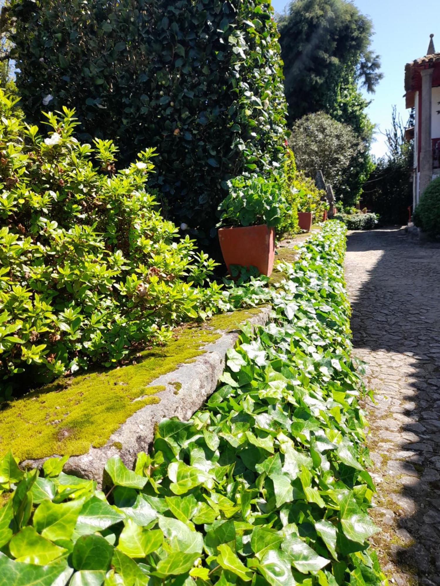 Quinta Da Mainha - Charming Houses Braga Eksteriør billede